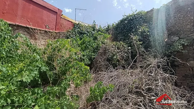 ️ ¡OPORTUNIDAD DE INVERSIÓN EN OBEJO (CÓRDOBA)! ️ - foto 5