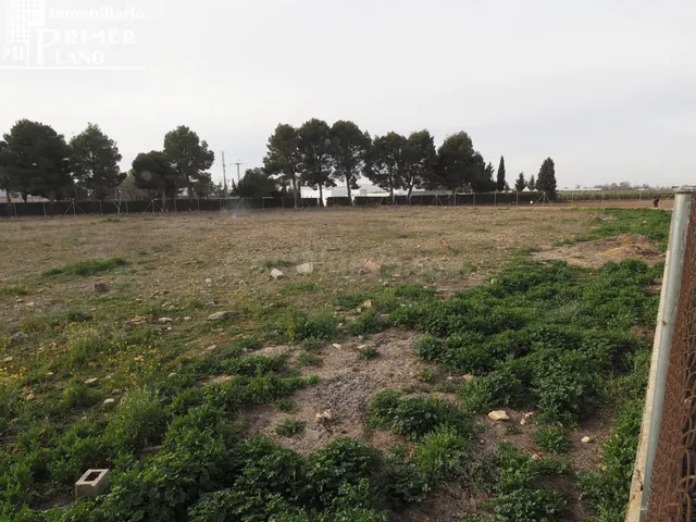 Se vende parcela de terreno rustico en la carretera de Argam - foto 3