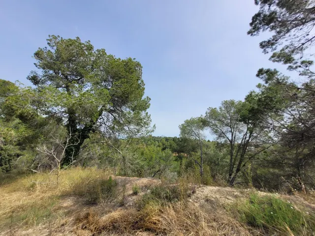 Terreno llano con todos los servicios en El Maset de Masquefa — 8