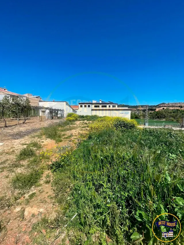 SOLAR EN VENTA URBANIZABLE EN CAÑAVERAS - foto 5