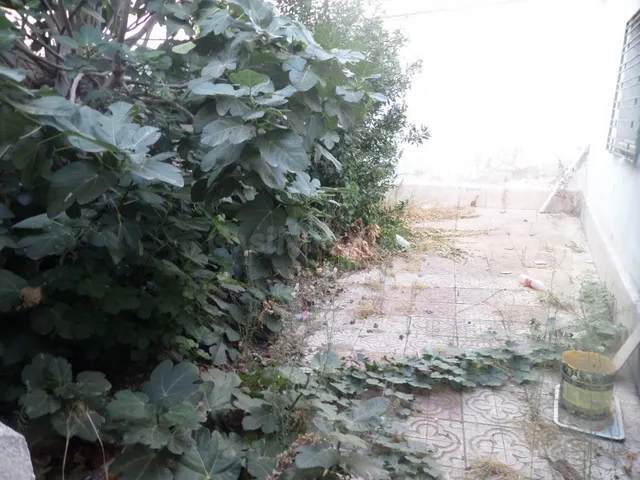 Se venda casa de planta baja de 276 m2, muy próxima a la cal - foto 2