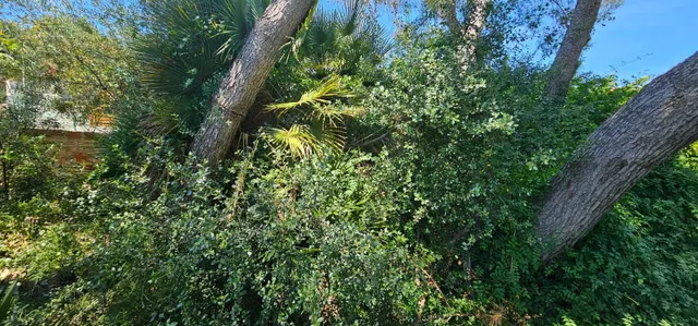 Casa a reformar con jardín y garaje en Urbanización Els Rosers — 6