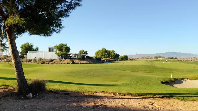 TU RINCÓN DE SOL EN CONDADO DE ALHAMA! - NARANJOS 7, PLANTA BAJA — 9