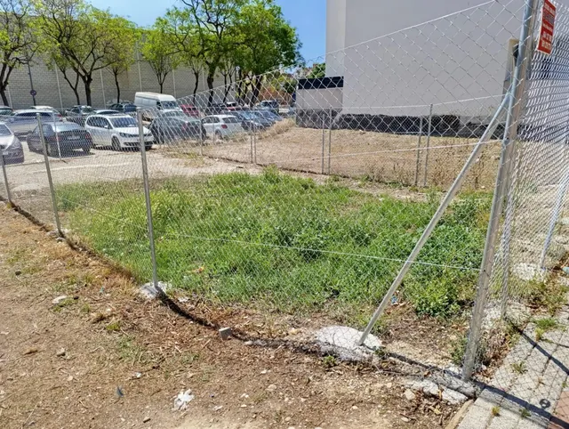 LA TORRICA - foto 4