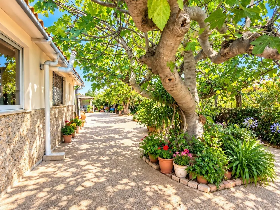 #  ¡una obra de arte entre la huerta y la ciudad!