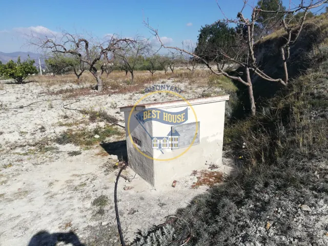 TERRENO AGRICOLA EN ONTINYENT — 8