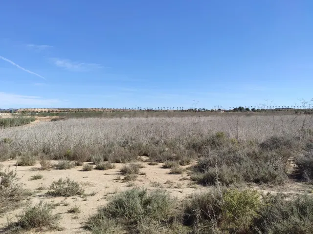 Terreno rústico en Alhama de Murcia - foto 2