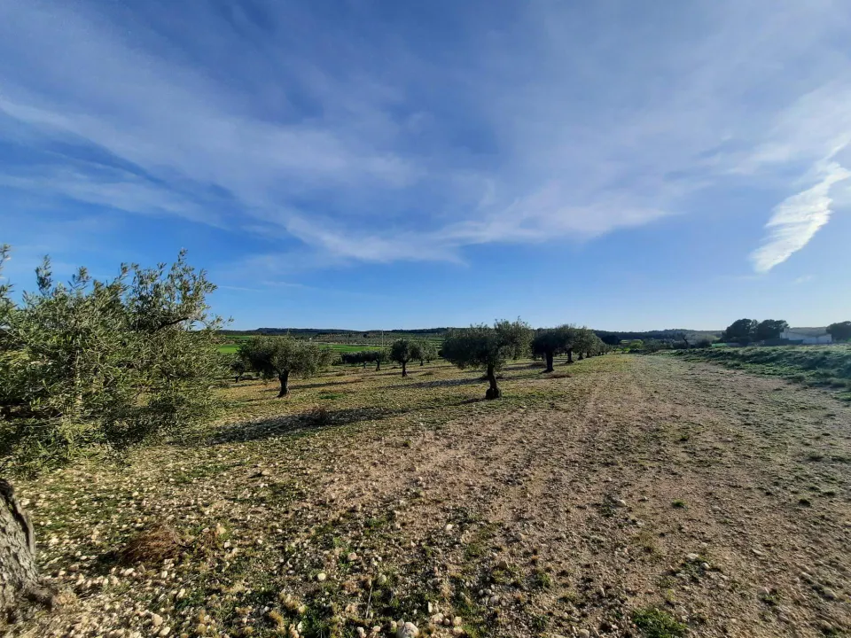 TERRENO PARA SU CASA DE CAMPO EN CANTO BLANCO