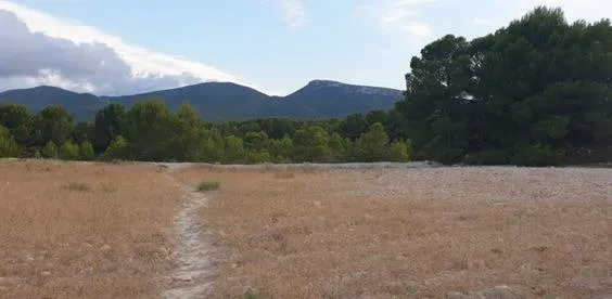 FINCA RUSTICA EN VENTA EN CASTALLA ALICANTE — 3