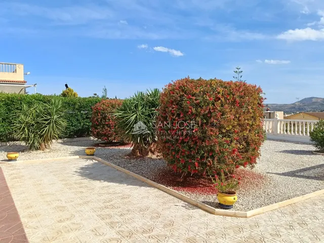 SE VENDE CHALET CON PISCINA EN BUEN ESTADO EN ASPE — 31
