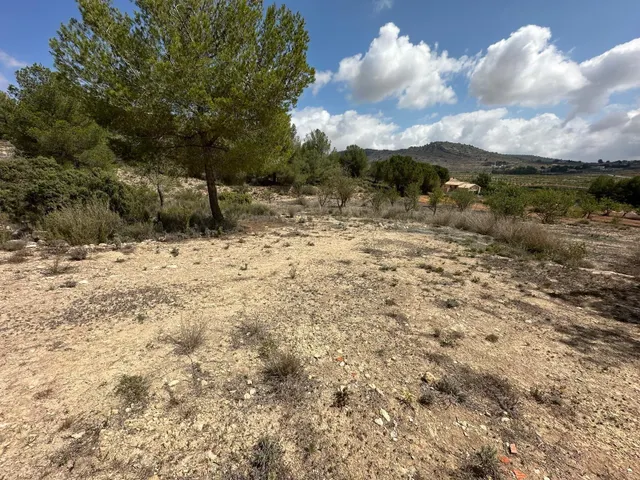 Casa de campo en una parcela de 10600 metros — 15