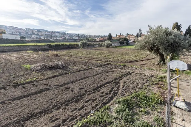 CASA CON MÁS DE 4000 METROS DE PARCELA EN MONACHIL — 45