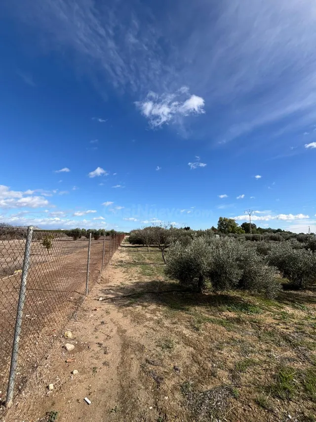 SE VENDE TERRENO CON UNA CABAÑA DE MADERA EN FORTUNA - foto 2