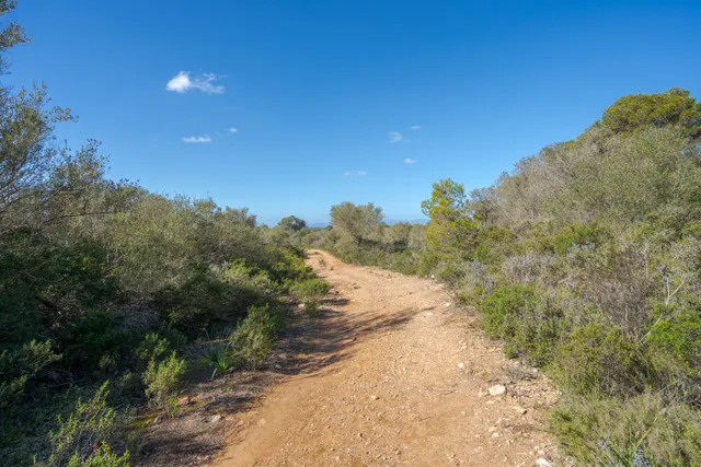 Finca de 124 hectáreas con vivienda en Puigderrós, Llucmajor. — 17