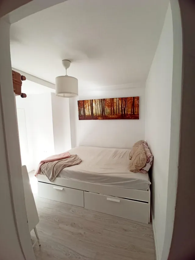 Piso Barrio del Carmen - Jardín Floridablanca — 6