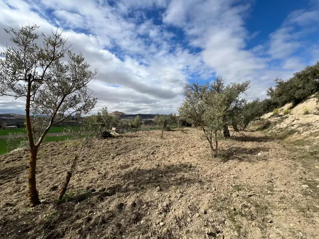 Un rincón de paz y futuro en Alhendín (SOLAR URBANIZABLE) — 11