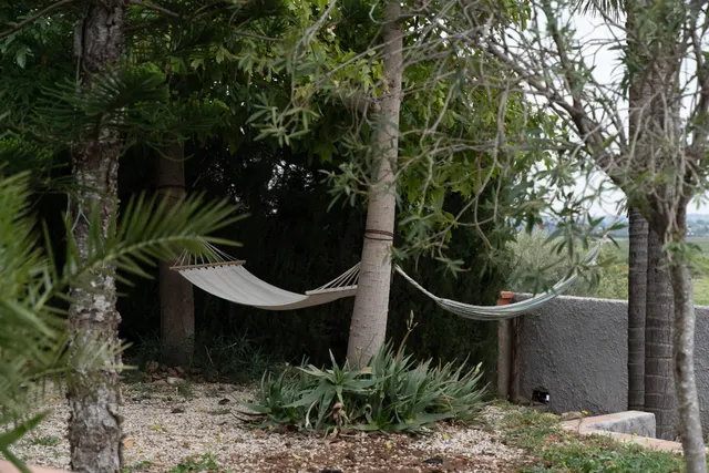 Casa o chalet independiente en venta en Pla dels Aljubs — 23