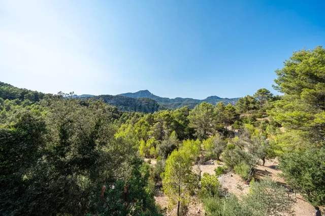 Finca rústica en plena Serra de Tramuntana Puigpunyent — 37