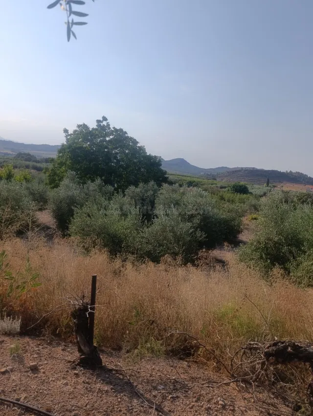 Casa rústica con porche y patio en Paraje Retamar, Cehegín – - foto 4