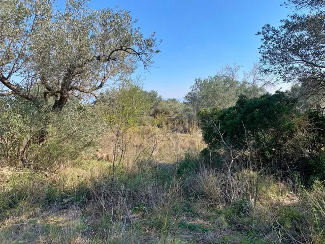 Finca rústica 15m² en venta - Roquetes — 11