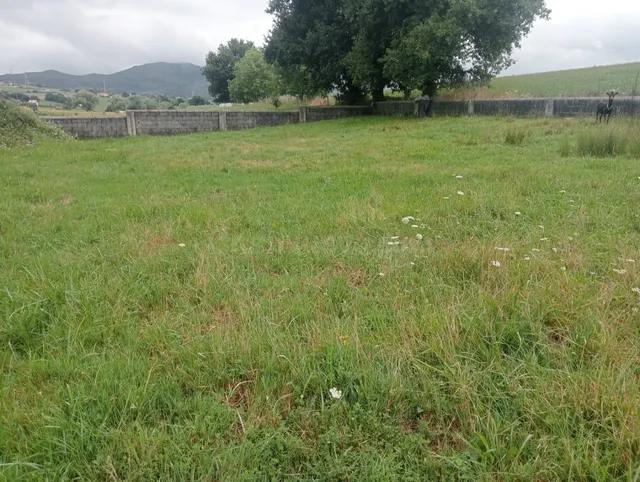 TERRENO EDIFICABLE - foto 2