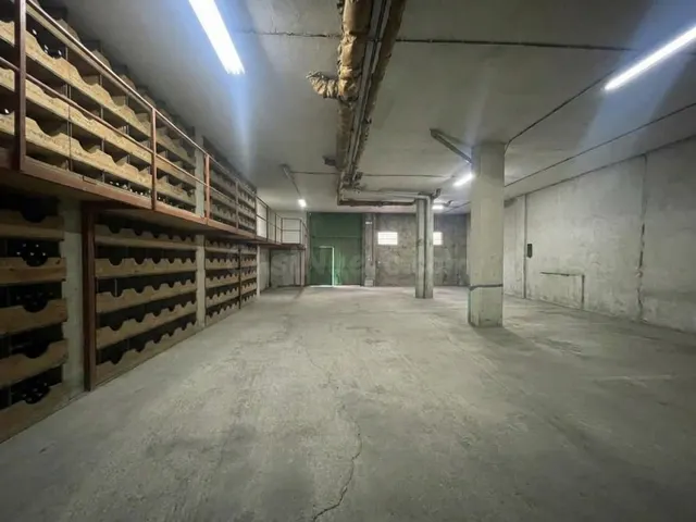 LOCAL COMERCIAL DE 247 M2 - foto 5