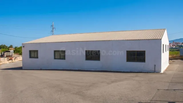 Finca con Nave Industrial en Elche, zona Matola - foto 3