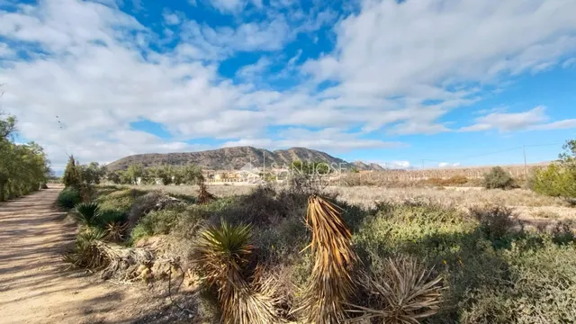 VENTA DE CHALET DE LUJO EN MONFORTE DEL CID — 47