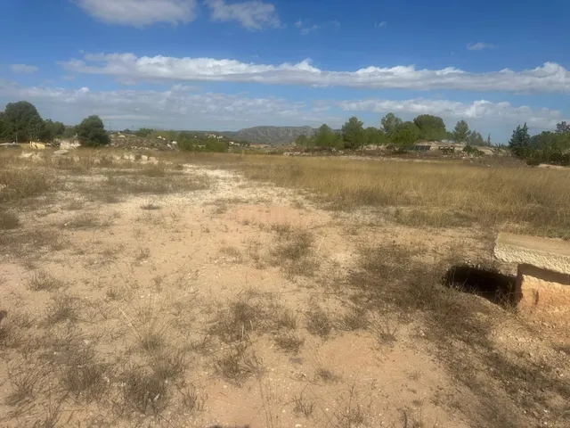 Terreno Rural Agrario de 13.000 m2 en Beties – Monóvar — 4