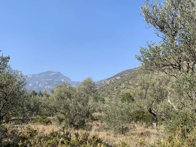 Finca rústica 15m² en venta - Roquetes — 7