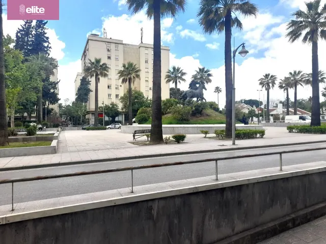 MAGNIFICO LOCAL COMERCIAL EN LA PLAZA DEL CABALLO — 12