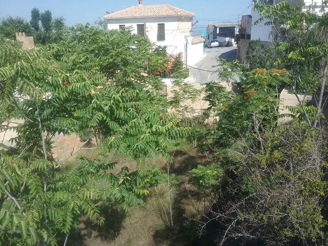 SOLAR EN EL FARGUE — 7