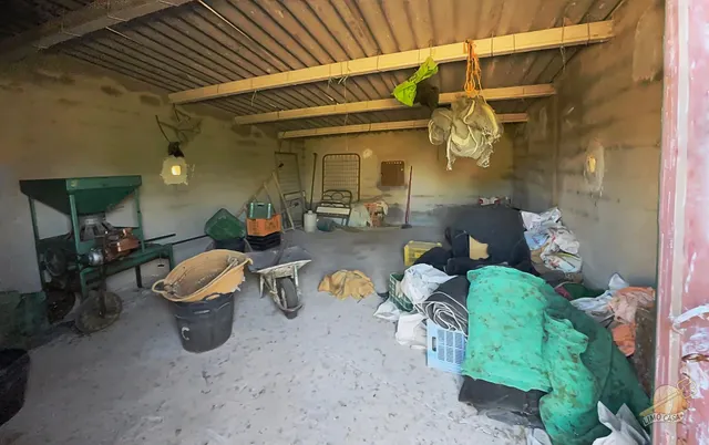 Auténtica casa para renovar en Ricote — 7