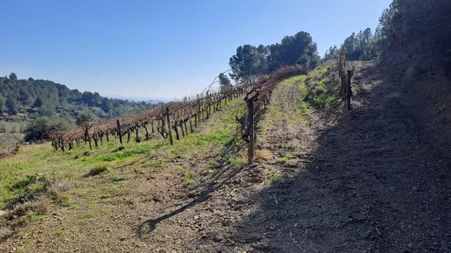Venta Finca Rústica, Urb. Castellmoster, Castellvell Del Cam - foto 5