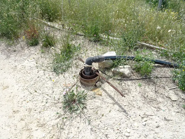 ESPLENDIDA FINCA RUSTICA CON CASA PARA CULTIVAR EN ASPE EN V - foto 5