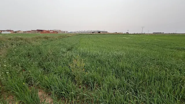 Terreno rústico en venta en Casas Ibáñez, Albacete - foto 5