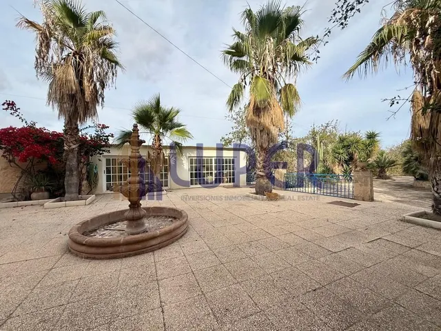 ✨ Una finca única para quienes buscan mucho más que una vivienda, en Alicante Tangel. — 34