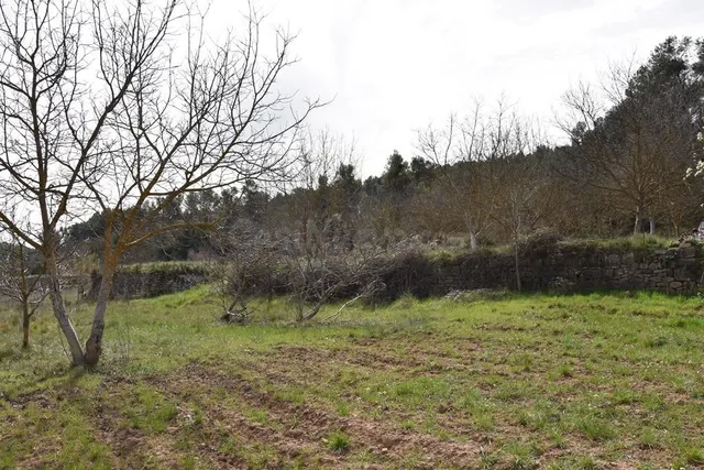Finca rústica en venta - MatarraÑa - foto 4