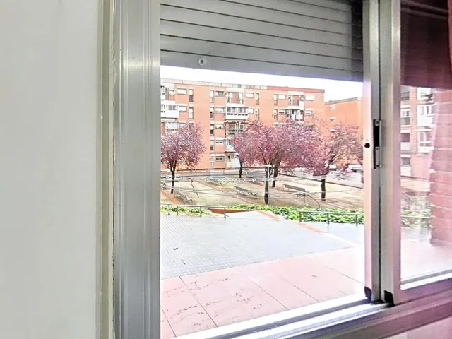 PLANTA BAJA PARA ENTRAR A VIVIR - foto 5