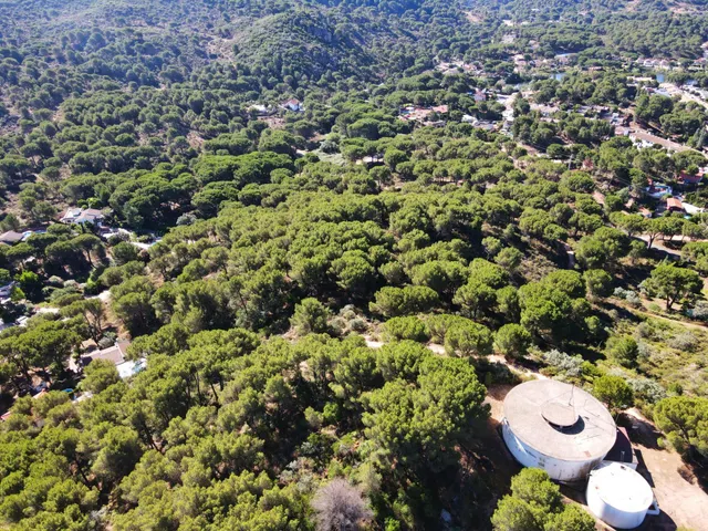 ¡¡PARCELA URBANA EN LAS JARAS!!! — 14