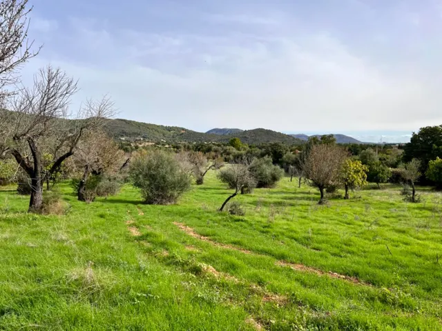 Finca rústica Campanet — 2