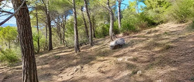 Exclusiva parcela con vistas abiertas al mar en Canyamel, co - foto 5