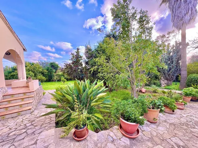 FINCA EN INCA CON PISCINA Y CÉDULA DE HABITABILIDAD - foto 4