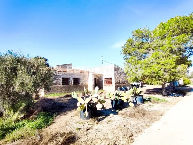 Fantástica casa con gran parcela junto a San Isidro, Alicant