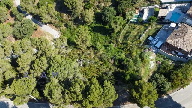 Posibilidad de edificar casa en una sola planta - foto 2