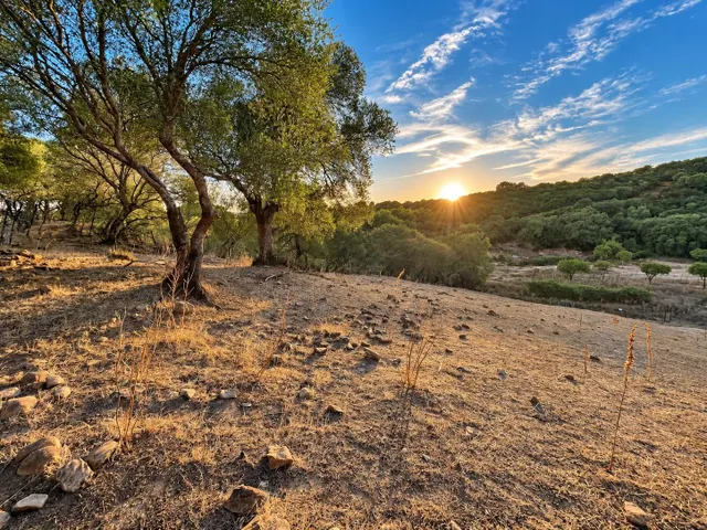 Finca rústica de 18.444 m2 con pozo y construcción catastrada en Alcalá de los Gazule — 49