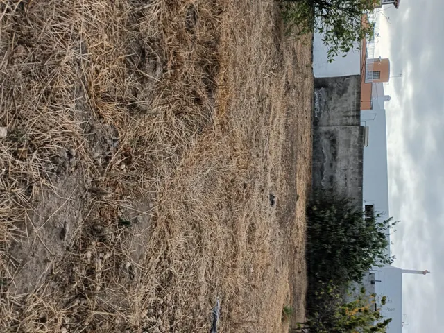 Terreno urbano de 2.500 m2 en Icod de los Vinos | oportunidad para inversores — 38