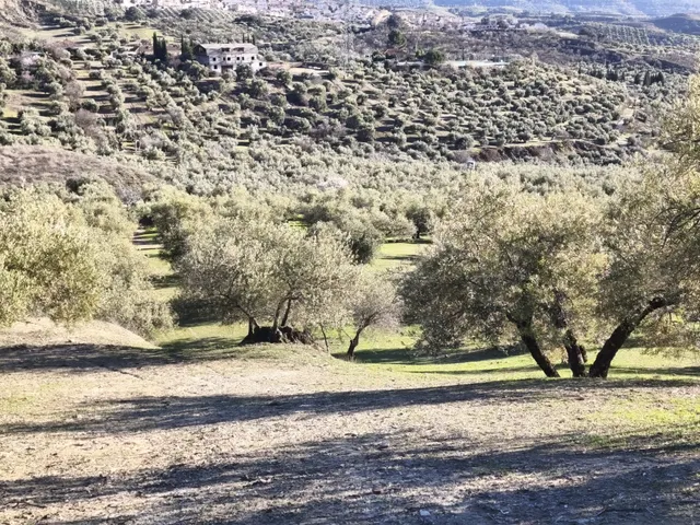 Terreno rural en venta - Sierra de huetor y la alfaguara — 16