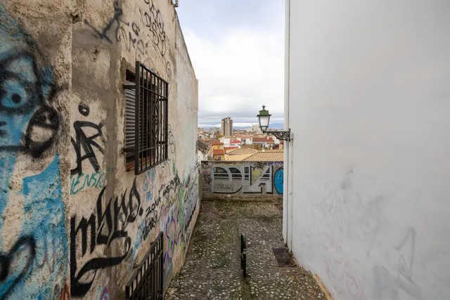 SE VENDE TERRENO URBANO PLURIFAMILIAR ZONA REAL DE CARTUJA Y JARDINES DEL TRIUNFO — 16
