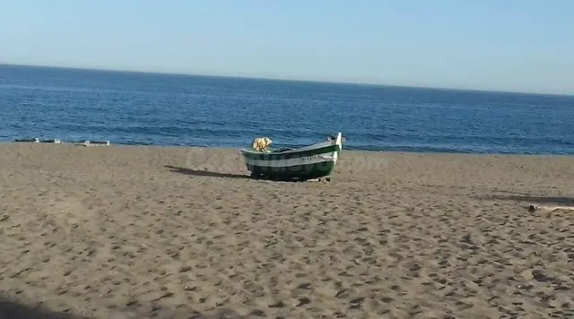 LOCAL SOBRE PASEO MARITIMO EN LA CARIHUELA TORREMOLINOS - foto 3